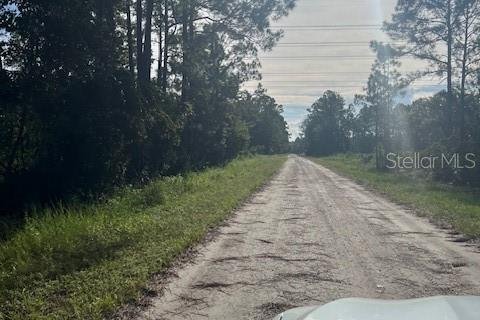 Купить земельный участок в Остин, Флорида № 1915889 - фото 23