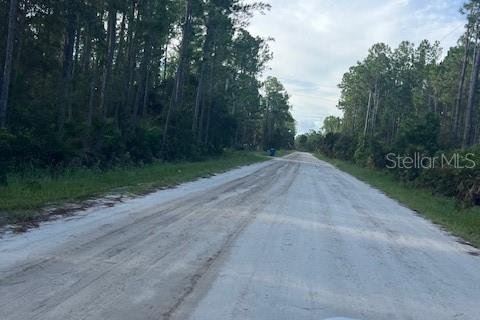 Купить земельный участок в Остин, Флорида № 1915889 - фото 1