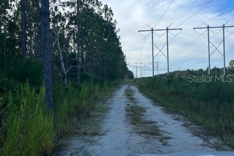 Купить земельный участок в Остин, Флорида № 1915889 - фото 10