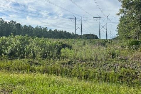 Купить земельный участок в Остин, Флорида № 1915889 - фото 24
