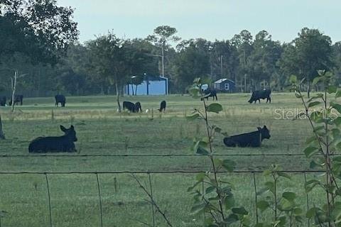 Купить земельный участок в Остин, Флорида № 1915889 - фото 5