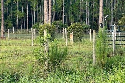 Купить земельный участок в Остин, Флорида № 1915889 - фото 7