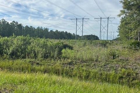 Купить земельный участок в Остин, Флорида № 1915889 - фото 25