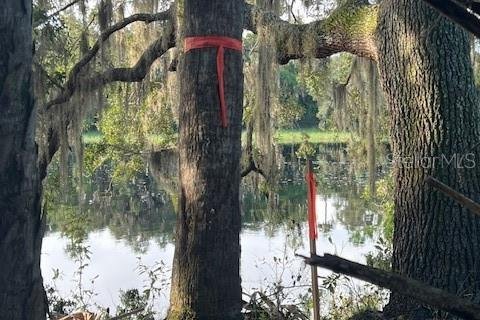 Купить земельный участок в Остин, Флорида № 1915889 - фото 15