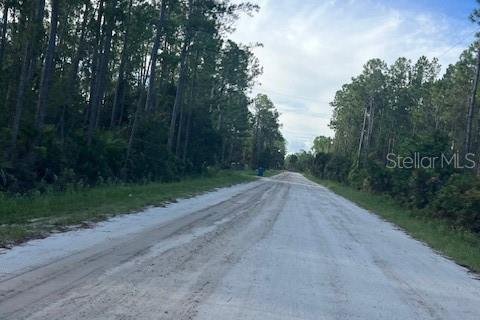 Купить земельный участок в Остин, Флорида № 1915889 - фото 2