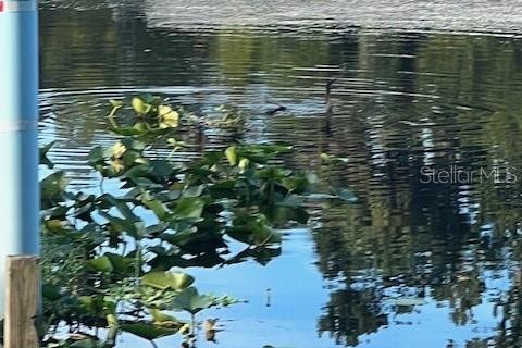 Купить земельный участок в Остин, Флорида № 1915889 - фото 28