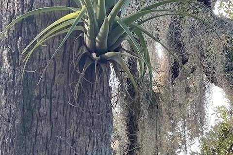 Купить земельный участок в Остин, Флорида № 1915889 - фото 14