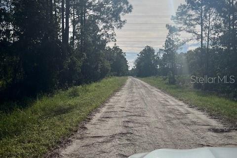 Купить земельный участок в Остин, Флорида № 1915889 - фото 22