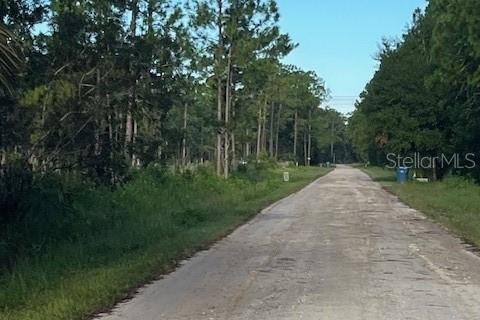 Купить земельный участок в Остин, Флорида № 1915889 - фото 4