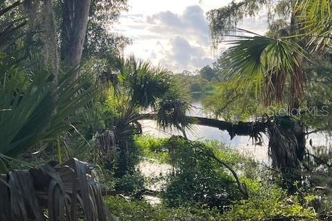 Купить земельный участок в Остин, Флорида № 1915889 - фото 16