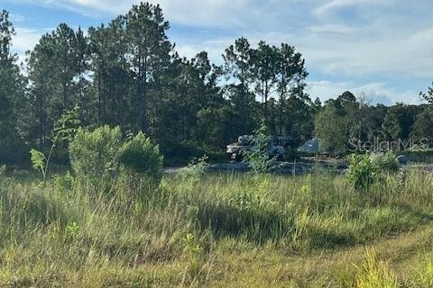 Купить земельный участок в Остин, Флорида № 1915889 - фото 19