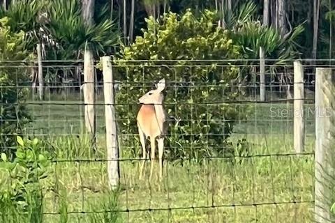 Купить земельный участок в Остин, Флорида № 1915889 - фото 6