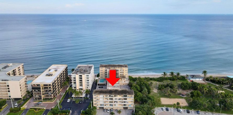 Condo à South Palm Beach, Floride, 1 chambre № 776498