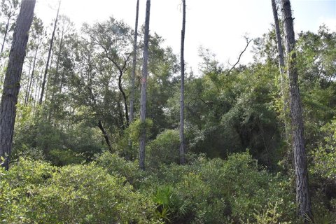 Terreno en venta en Inglis, Florida № 1853327 - foto 22