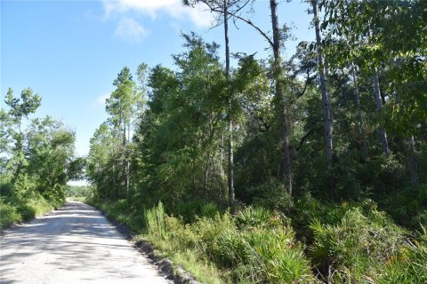 Terreno en venta en Inglis, Florida № 1853327 - foto 8