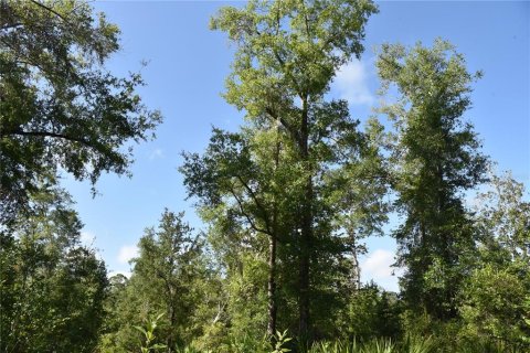 Terreno en venta en Inglis, Florida № 1853327 - foto 14