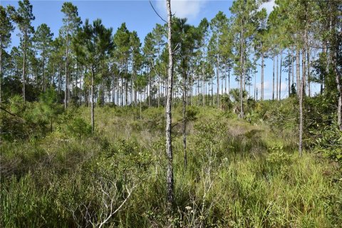 Terreno en venta en Inglis, Florida № 1853327 - foto 23