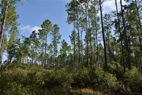 Terreno en venta en Inglis, Florida № 1853327 - foto 1