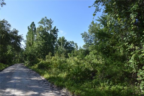 Terreno en venta en Inglis, Florida № 1853327 - foto 9