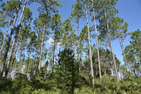 Terreno en venta en Inglis, Florida № 1853327 - foto 16