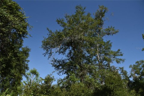 Terreno en venta en Inglis, Florida № 1853327 - foto 2