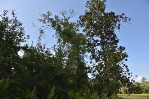 Terreno en venta en Inglis, Florida № 1853327 - foto 11