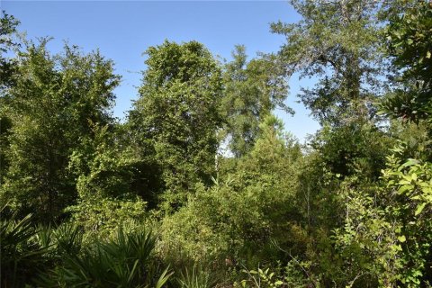 Terreno en venta en Inglis, Florida № 1853327 - foto 20