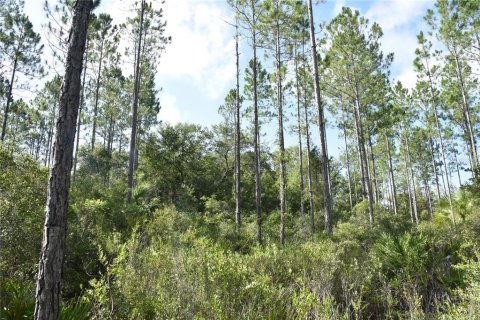 Terreno en venta en Inglis, Florida № 1853327 - foto 15