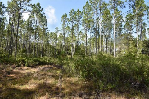Terreno en venta en Inglis, Florida № 1853327 - foto 6