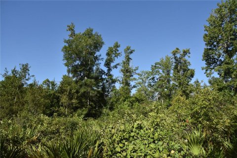 Terreno en venta en Inglis, Florida № 1853327 - foto 13