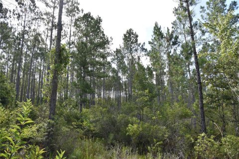 Terreno en venta en Inglis, Florida № 1853327 - foto 4