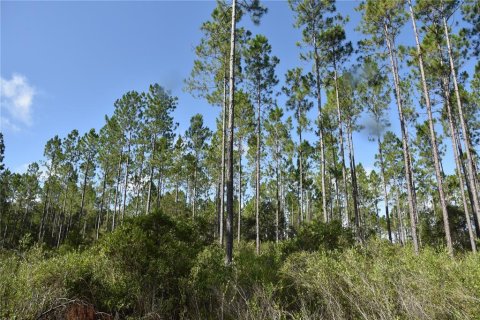 Terreno en venta en Inglis, Florida № 1853327 - foto 10