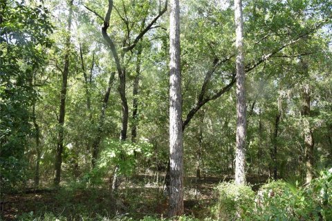 Terreno en venta en Inglis, Florida № 1853327 - foto 17