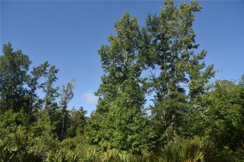 Terreno en venta en Inglis, Florida № 1853327 - foto 19
