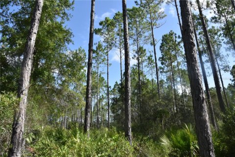 Terreno en venta en Inglis, Florida № 1853327 - foto 7