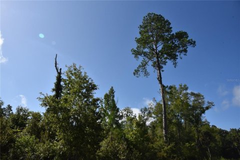 Terreno en venta en Inglis, Florida № 1853327 - foto 12