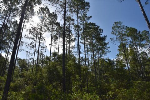 Terreno en venta en Inglis, Florida № 1853327 - foto 5