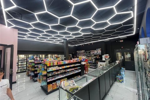 Купить коммерческую недвижимость в Тампа, Флорида 183.95м2, № 1751335 - фото 5