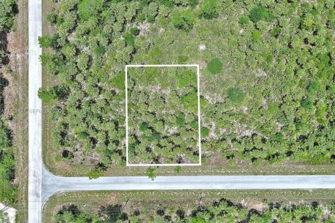 Terrain à Lehigh Acres, Floride № 2158513