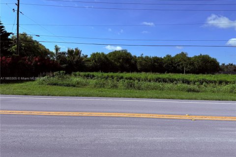 Land in Homestead, Florida № 1889759 - photo 1