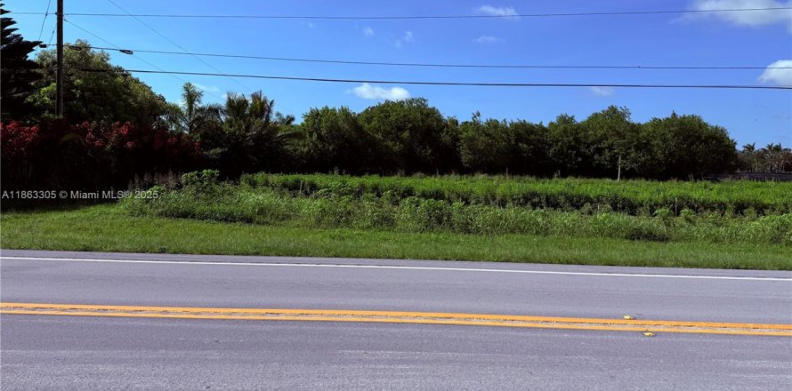 Land in Homestead, Florida № 1889759