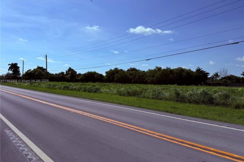 Land in Homestead, Florida № 1889759 - photo 6