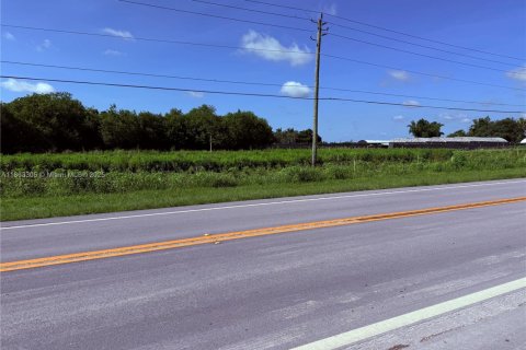 Land in Homestead, Florida № 1889759 - photo 2