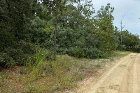 Land in Inverness, Florida № 2160907