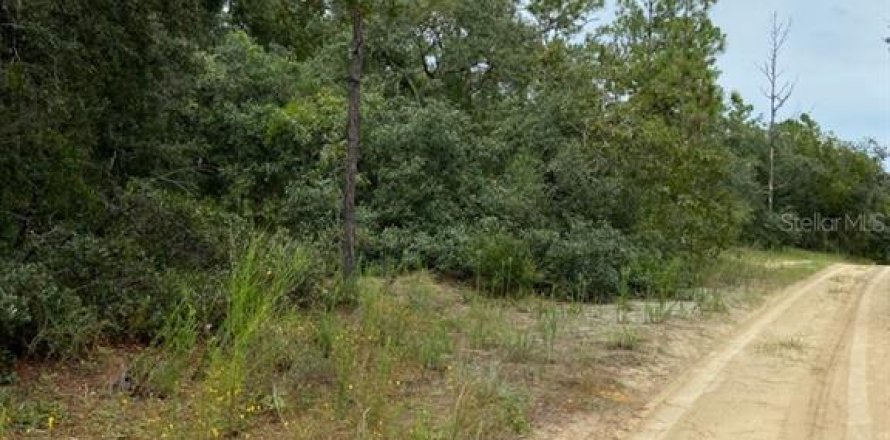 Land in Inverness, Florida № 2160907