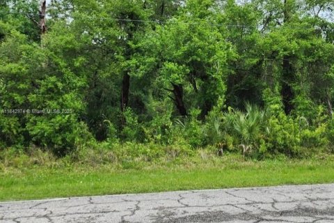 Land in Clewiston, Florida № 1836091 - photo 4
