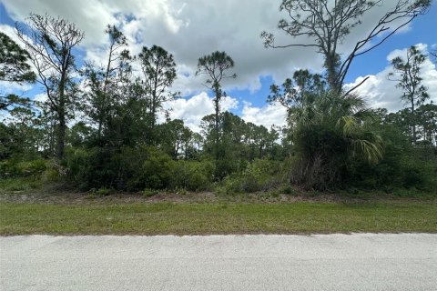 Land in Punta Gorda, Florida № 2202570 - photo 3