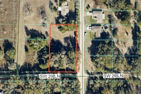 Land in Ocala, Florida № 2320973