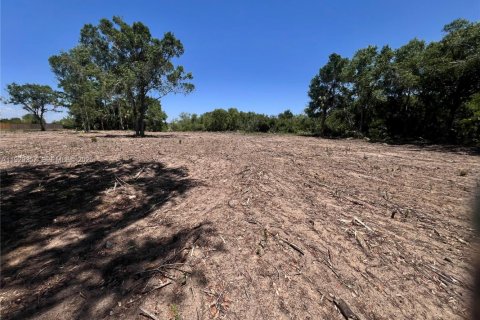 Terrain à Lehigh Acres, Floride № 2039884