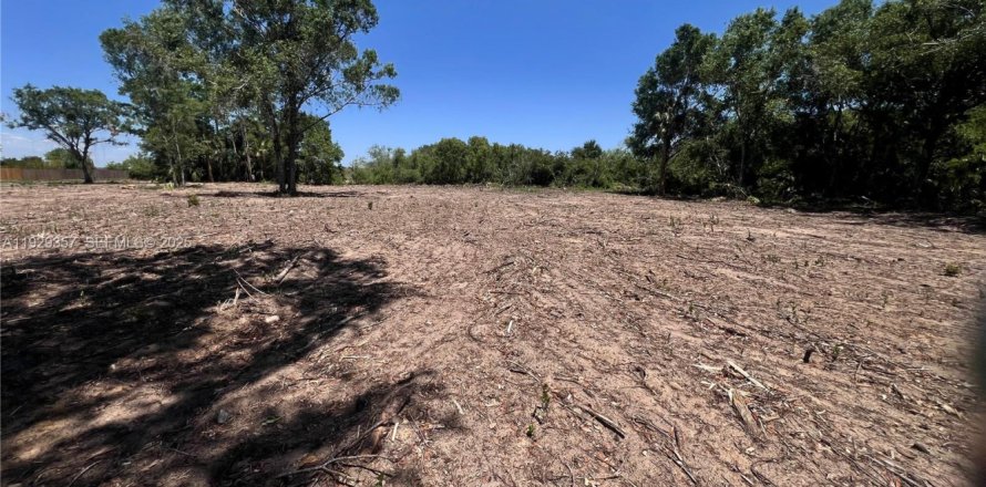 Terrain à Lehigh Acres, Floride № 2039884